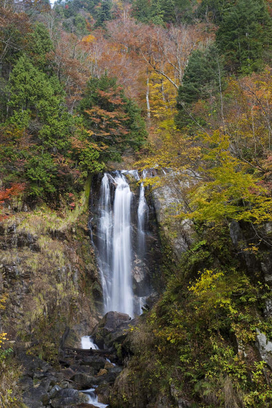 无人,竖图,俯视,室外,白天,旅游,度假,美景,瀑布,秋季,山,树林,水,植物,日本,亚洲,许多,阴影,飞溅,朦胧,模糊,溅,光线,液体,影子,景观,山峰,水滴,悬崖,山峦,娱乐,水珠,树,树木,绿色,阳光,自然,享受,休闲,景色,放松,生长,成长,喷洒,自然风光,东亚,本州,本州岛,日本国,中部地方,岐阜,岐阜县,新潟,新潟县,绝壁,跌水,秋,秋天,彩图,高角度拍摄