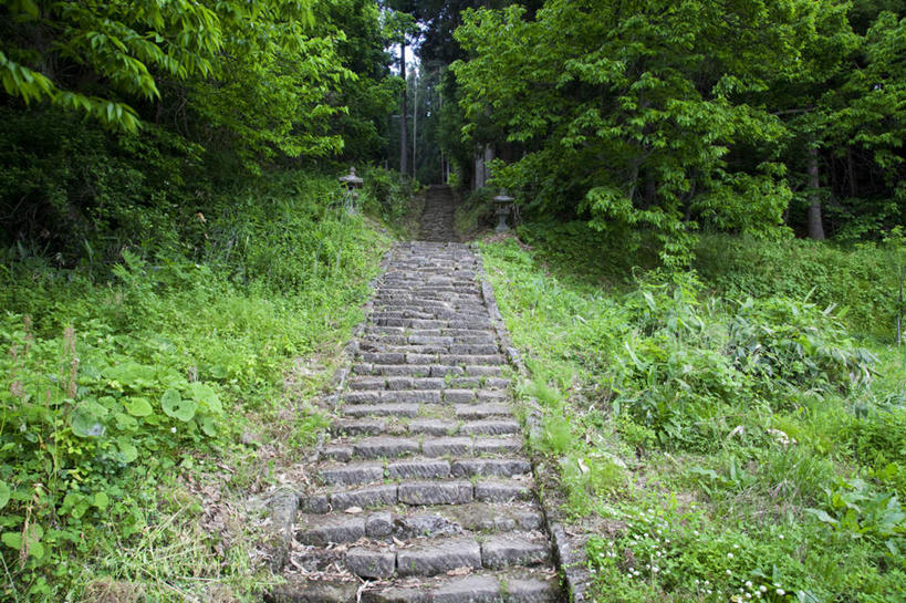 无人,横图,室外,白天,正面,旅游,度假,草地,石头,美景,树林,植物,楼梯,长野县,日本,亚洲,许多,朦胧,模糊,石子,阶梯,景观,娱乐,台阶,草,树,树木,绿色,自然,享受,休闲,石阶,景色,放松,生长,成长,自然风光,东亚,本州,本州岛,日本国,中部地方,长野,石块,彩图