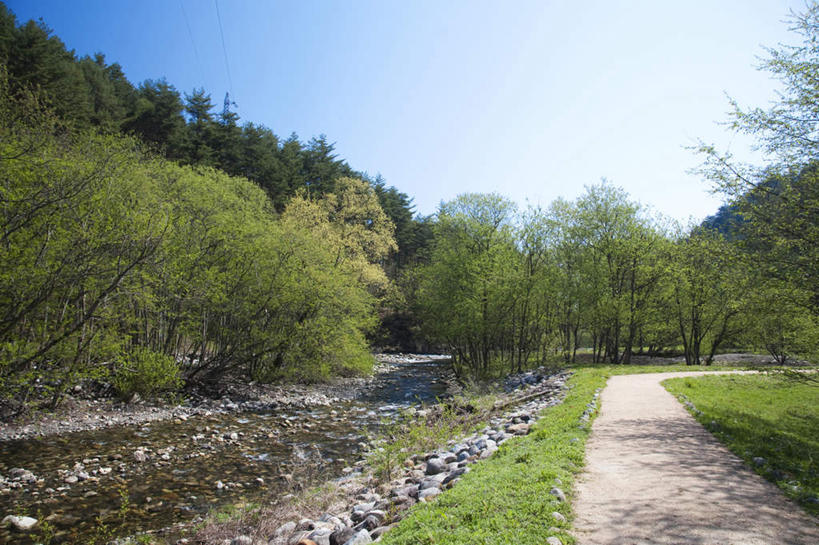 无人,横图,室外,白天,正面,旅游,度假,草地,草坪,河流,石头,美景,树林,水,植物,道路,路,长野县,日本,亚洲,许多,阴影,光线,石子,影子,河水,景观,水流,小路,交通,娱乐,草,树,树木,蓝色,绿色,蓝天,天空,阳光,自然,天,享受,休闲,鹅卵石,景色,放松,生长,晴朗,成长,自然风光,按摩石,东亚,本州,万里无云,本州岛,日本国,中部地方,长野,石块,晴空,晴空万里,彩图