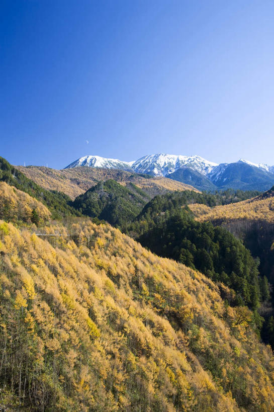 无人,竖图,俯视,航拍,室外,白天,旅游,度假,美景,秋季,山,山脉,树林,雪,植物,大雪,长野县,日本,亚洲,许多,积雪,景观,山峰,雪景,冬季,冬天,山峦,娱乐,树,树木,蓝色,绿色,蓝天,天空,自然,群山,天,享受,休闲,景色,放松,寒冷,生长,晴朗,成长,鸟瞰,自然风光,东亚,本州,万里无云,本州岛,日本国,中部地方,长野,严寒,晴空,晴空万里,秋,秋天,彩图,高角度拍摄