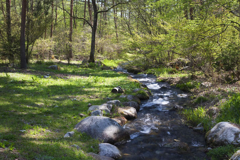 无人,横图,室外,白天,正面,旅游,度假,草地,草坪,河流,礁石,石头,美景,树林,水,植物,长野县,日本,亚洲,许多,阴影,朦胧,模糊,光线,石子,影子,河水,景观,水流,娱乐,草,树,树木,绿色,小溪,阳光,自然,溪水,享受,休闲,景色,放松,生长,成长,自然风光,东亚,本州,本州岛,日本国,中部地方,长野,礁,石块,岩石,彩图