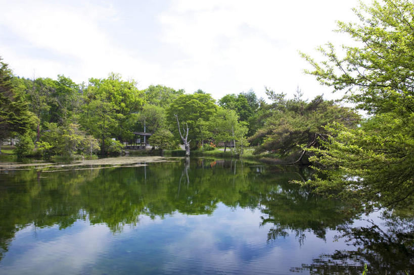 无人,横图,室外,白天,正面,旅游,度假,河流,美景,树林,水,植物,长野县,日本,亚洲,许多,阴影,朦胧,模糊,光线,影子,河水,景观,水流,云,云朵,云彩,娱乐,树,树木,蓝色,绿色,白云,蓝天,天空,阳光,自然,天,享受,休闲,景色,放松,生长,晴朗,成长,自然风光,东亚,本州,本州岛,日本国,中部地方,长野,晴空,彩图