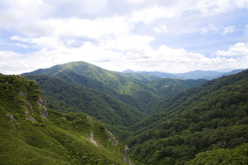 无人,横图,俯视,航拍,室外,白天,旅游,度假,美景,山,山脉,树林,植物,日本,亚洲,许多,景观,山峰,云,云朵,山峦,云彩,娱乐,树,树木,蓝色,绿色,白云,蓝天,天空,自然,群山,天,享受,休闲,景色,放松,生长,晴朗,成长,鸟瞰,自然风光,东亚,本州,本州岛,日本国,中部地方,福井,福井县,晴空,彩图,高角度拍摄