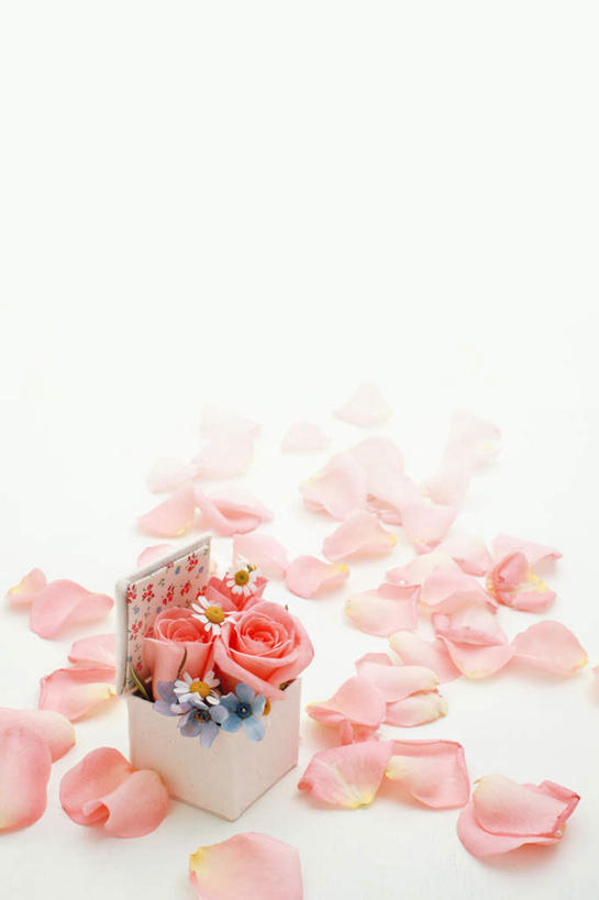 无人,竖图,俯视,室内,特写,白天,白色背景,爱情,快乐,幸福,纯洁,热情,玫瑰,礼盒,礼物,许多,盛开,纸盒,玛格丽特,玫瑰花,浪漫,花蕾,盒子,雏菊,花,花瓣,花朵,鲜花,一朵,粉色,蓝色,白色,包装盒,礼品盒,花苞,花蕊,温暖,温馨,菊花,恩爱,活力,摄影,礼品,影棚,希望,和睦,坚强,和平,感动,离别,延命菊,幸福花,春菊,马兰头花,尊敬,风蜡花,杰拉尔顿腊花,蜡花,淘金彩梅,暗恋,纯情,单恋,天真,刺玫花,徘徊花,彩图,高角度拍摄,影棚拍摄,愉快,拍摄,融洽