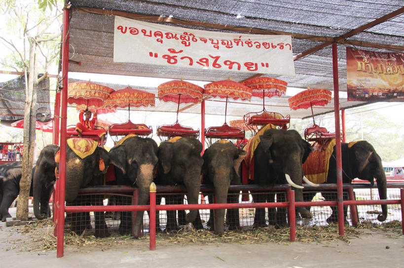 无人,横图,室外,白天,正面,旅游,度假,名胜古迹,标志建筑,地标,建筑,雕塑,泰国,亚洲,破旧,遗迹,艺术,装饰,雕刻,雕像,佛像,云,云朵,建筑群,云彩,古迹,破坏,文物,娱乐,建设,古建筑,石雕,大城,破损,废墟,蓝色,白云,蓝天,天空,工艺品,天,享受,休闲,旅游胜地,放松,东南亚,晴朗,纪念,美术,损坏,主题,陈列,古文明,泰王国,功能,美学,阿育他耶府,大城府,晴空,彩图