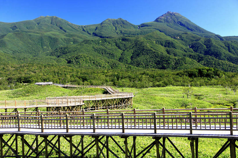 无人,公园,横图,室外,白天,正面,旅游,度假,草地,草坪,石头,山,山脉,植物,北海道,日本,亚洲,木板,石子,景观,山川,山峰,桥,木桥,山峦,娱乐,栈桥,草,树,树木,绿色,自然,群山,享受,休闲,景色,放松,生长,成长,人行桥,木板桥,国家公园,自然风光,东亚,日本国,北海道地方,北海道岛,知床半岛,知床国家公园,石块,岩石,彩图