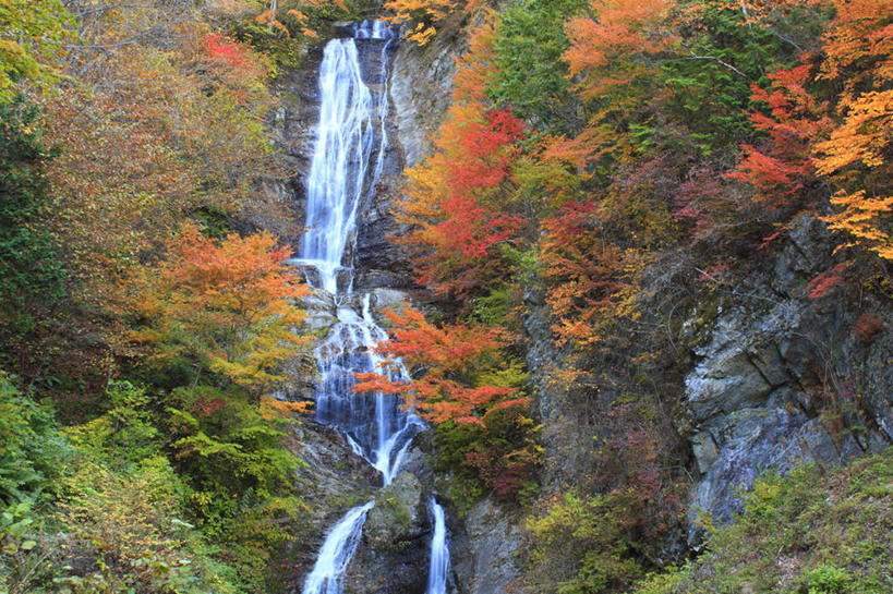 无人,横图,室外,白天,仰视,旅游,度假,美景,瀑布,秋季,树林,水,植物,叶子,长野县,日本,亚洲,许多,飞溅,湍急,溅,液体,景观,水滴,枯叶,落叶,娱乐,水珠,树,树木,黄色,红色,绿色,自然,享受,休闲,景色,放松,生长,成长,倾泻,倾注,喷洒,自然风光,东亚,本州,本州岛,日本国,中部地方,长野,泼洒,叶,叶片,跌水,秋,秋天,彩图,低角度拍摄