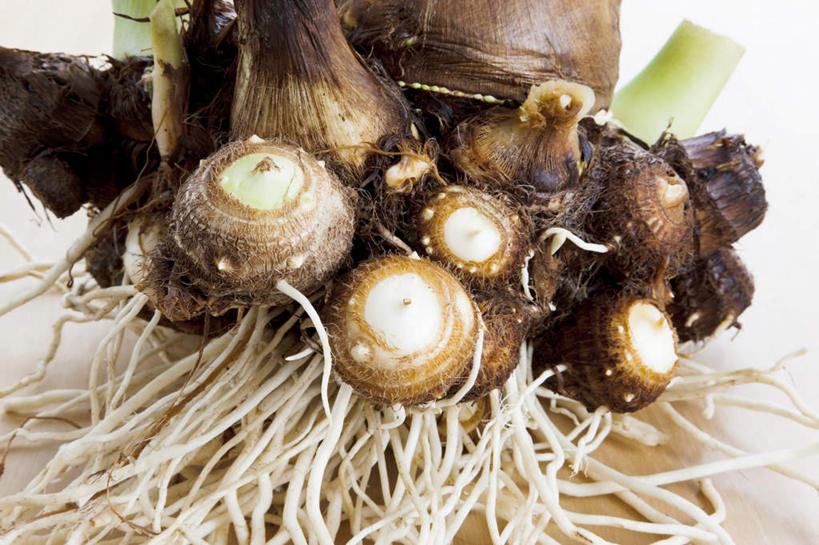 无人,横图,俯视,室内,特写,白天,白色背景,蔬菜,许多,新鲜,芋头,食品,根,根部,食物,白色,黑色,摄影,有机食品,绿色食品,影棚,青芋,芋艿,彩图,高角度拍摄,影棚拍摄,拍摄