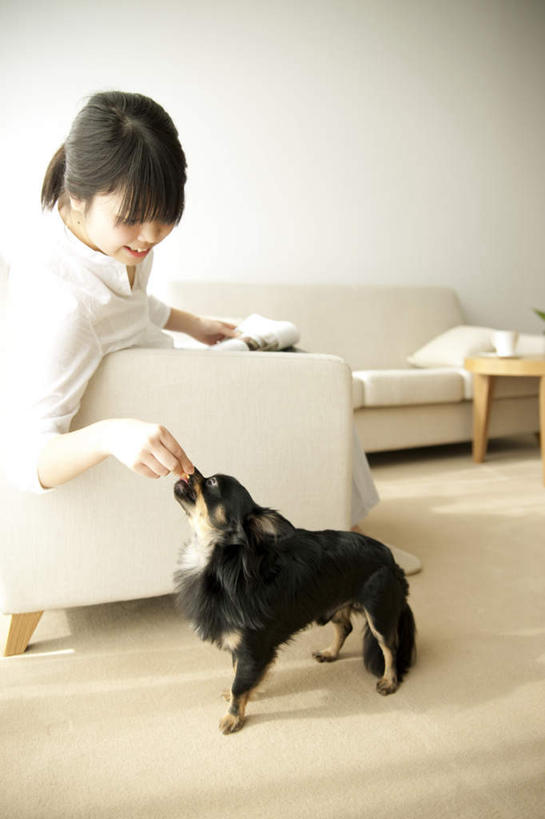 东方人,一个人,客厅,站,坐,竖图,俯视,室内,白天,地板,靠垫,沙发,宠物,狗,亚洲,仅一个年轻女性,仅一个女性,仅一个人,服装,靠枕,吉娃娃,地面,注视,休闲装,黄种人,木地板,一只,衣服,动物,垫子,枕头,观察,看,站着,休闲,休闲服,可爱,喂,服饰,观看,察看,起居室,关注,布艺沙发,忠诚,芝娃娃,奇娃娃,吉娃娃犬,齐花花,年轻女性,女人,女性,亚洲人,犬,站立,坐着,彩图,高角度拍摄,全身