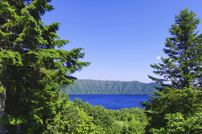 无人,公园,横图,室外,白天,正面,旅游,度假,草地,草坪,湖,湖泊,美景,森林,树林,水,植物,北海道,日本,亚洲,许多,湖面,景观,水流,水面,娱乐,树,树木,蓝色,绿色,蓝天,天空,自然,湖水,天,享受,休闲,景色,放松,生长,晴朗,成长,国家公园,自然风光,东亚,万里无云,日本国,北海道地方,北海道岛,支笏湖国家公园,晴空,晴空万里,彩图