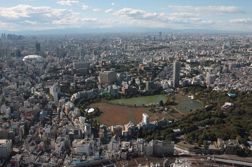 无人,公园,高楼大厦,横图,全景,俯视,航拍,室外,白天,度假,美景,树林,天际线,植物,城市风光,城市,大厦,道路,建筑,路,摩天大楼,公路,汽车,东京,日本,亚洲,阴影,光线,影子,景观,云,云朵,建筑群,交通,云彩,娱乐,建设,车,树,树木,蓝色,绿色,白云,蓝天,天空,阳光,自然,交通工具,轿车,天,享受,休闲,景色,放松,生长,晴朗,成长,鸟瞰,铁道,载具,东亚,本州,关东地方,本州岛,日本国,东京都,县厅,东京市,东京上野公园,晴空,马路,彩图,高角度拍摄,大楼,高层建筑,高楼,摩天楼,上野公园