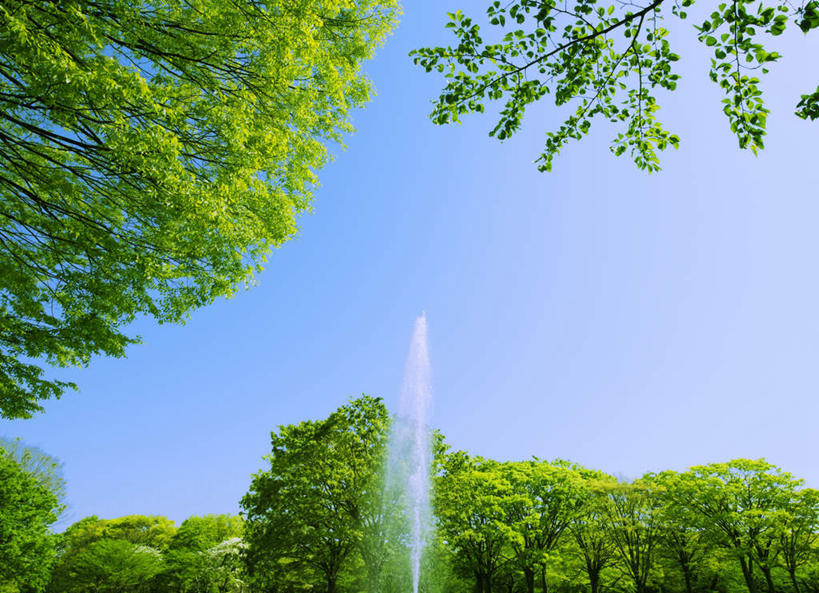 无人,横图,室外,白天,仰视,旅游,度假,彩虹,美景,树林,植物,喷泉,东京,日本,亚洲,阴影,光线,影子,景观,文化,娱乐,树,树木,蓝色,绿色,蓝天,天空,阳光,自然,天,品味,享受,休闲,景色,放松,生长,成长,自然风光,水景,东亚,本州,关东地方,本州岛,日本国,东京都,美观,一道,代代木公园,设计,虹,虹桥,七彩虹,天虹,彩图,低角度拍摄