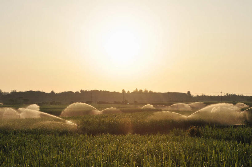 无人,农田,横图,室外,白天,正面,旅游,度假,庄稼,农作物,日出,美景,山,山脉,树林,水,太阳,植物,水果,日本,亚洲,许多,阴影,新鲜,电力,光线,电线,线,液体,影子,景观,山峰,水滴,生食,食品,果实,甘蔗,电能,朝霞,晨曦,黎明,山峦,线路,娱乐,冲绳,树,树木,食物,黄色,绿色,天空,阳光,自然,群山,天,享受,休闲,景色,放松,有机食品,绿色食品,生长,成长,电,电源,电源线,冲绳县,喷头,自然风光,能量,东亚,琉球群岛,日本国,九州地方,宫古岛,宫古列岛,朝阳,彩图,耕地,庄稼田,破晓