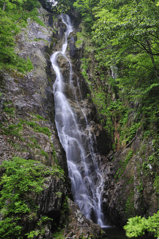 无人,竖图,室外,白天,正面,旅游,度假,礁石,石头,美景,瀑布,水,植物,叶子,日本,亚洲,飞溅,湍急,溅,石子,液体,景观,水滴,青苔,绿叶,苔藓,娱乐,水珠,树,树木,绿色,自然,享受,休闲,嫩叶,景色,放松,生长,成长,倾泻,倾注,喷洒,自然风光,东亚,日本国,泼洒,叶,叶片,跌水,礁,石块,岩石,彩图