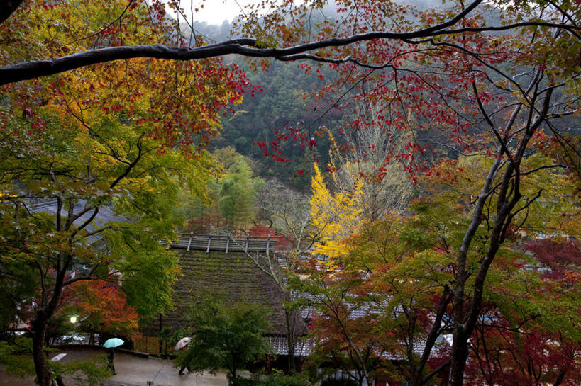 无人,横图,俯视,室外,白天,旅游,度假,美景,秋季,雨,植物,暴雨,大雨,标志建筑,地标,建筑,叶子,爱知县,日本,亚洲,许多,景观,建筑群,枯叶,落叶,娱乐,建设,树,树木,蓝色,绿色,蓝天,天空,自然,天,享受,休闲,景色,放松,生长,晴朗,成长,细雨,自然风光,东亚,本州,万里无云,本州岛,日本国,中部地方,爱知,叶,叶片,晴空,晴空万里,秋,秋天,小雨,彩图,高角度拍摄