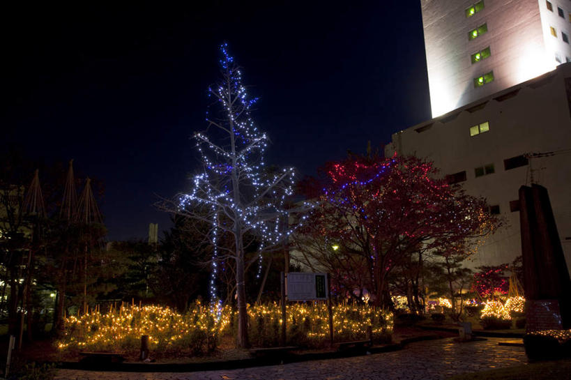 无人,家,高楼大厦,广场,横图,室外,夜晚,正面,度假,草地,草坪,美景,植物,城市风光,城市,大厦,道路,建筑,路,摩天大楼,夜景,指示牌,日本,圣诞节,亚洲,阴影,节日,庆祝,光线,影子,房屋,石凳,屋子,景观,公寓,建筑群,小路,灯光,交通,文化,娱乐,建设,洋房,楼房,住宅,草,树,树木,一个,蓝色,绿色,蓝天,天空,自然,石碑,天,庆典,享受,休闲,景色,放松,生长,单个,成长,纪念,东亚,本州,本州岛,日本国,中部地方,福井,福井县,彩图,房子,大楼,高层建筑,高楼,摩天楼