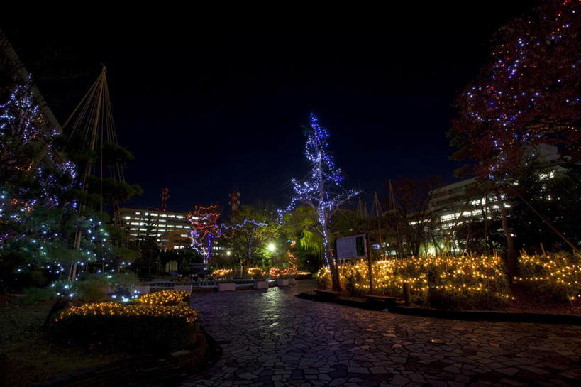 无人,家,高楼大厦,广场,横图,室外,夜晚,正面,度假,草地,草坪,美景,植物,城市风光,城市,大厦,道路,建筑,路,摩天大楼,夜景,指示牌,日本,圣诞节,亚洲,许多,阴影,节日,庆祝,光线,花坛,影子,房屋,石凳,屋子,景观,公寓,建筑群,小路,灯光,交通,文化,娱乐,建设,洋房,楼房,石板路,住宅,草,树,树木,两个,一个,蓝色,绿色,蓝天,天空,自然,石碑,天,庆典,享受,休闲,景色,放松,生长,单个,成长,纪念,东亚,本州,本州岛,日本国,中部地方,福井,福井县,彩图,房子,大楼,高层建筑,高楼,摩天楼