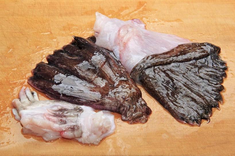 海鲜,无人,横图,俯视,室内,特写,白天,水,餐桌,桌子,三块,阴影,反射,鱼,液体,影子,水滴,水产,鱼类,海洋生物,餐台,水生动物,海产品,水生物,海底动物,鱼鳍,安康鱼,蛤蟆鱼,老头鱼,结巴鱼,丑婆,鮟鱇,鮟鱇鱼,哈蟆鱼,海哈蟆,琵琶鱼,彩图,高角度拍摄