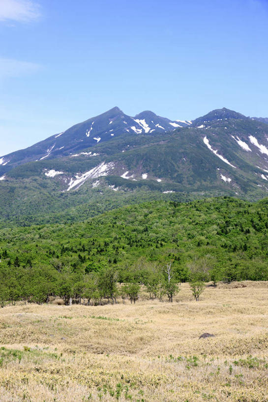 无人,竖图,室外,白天,正面,旅游,度假,美景,山,树林,植物,北海道,日本,亚洲,一排,一座,整齐,景观,娱乐,树,树木,排列,蓝色,绿色,蓝天,天空,自然,天,享受,休闲,景色,放松,生长,晴朗,成长,队列,自然风光,东亚,万里无云,日本国,北海道地方,北海道岛,知床国家公园,羅臼岳,晴空,晴空万里,彩图