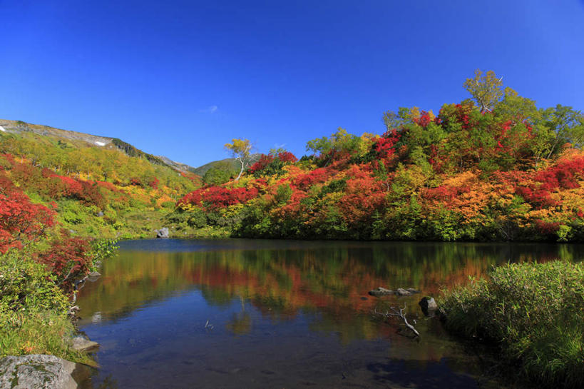 无人,横图,室外,白天,正面,旅游,度假,湖,湖泊,美景,山,山脉,水,叶子,北海道,日本,亚洲,朦胧,模糊,湖面,景观,山峰,水流,水面,云,云朵,枫叶,枯叶,落叶,山峦,云彩,娱乐,黄色,红色,蓝色,白云,蓝天,天空,自然,湖水,群山,天,享受,休闲,景色,放松,晴朗,枫树叶,自然风光,东亚,日本国,北海道地方,北海道岛,道北,叶,叶片,晴空,彩图,上川支厅