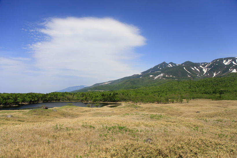 无人,横图,室外,白天,正面,旅游,度假,湖,湖泊,美景,森林,山,山脉,树林,水,植物,北海道,日本,亚洲,湖面,景观,山峰,水流,水面,云,云朵,山峦,云彩,娱乐,树,树木,蓝色,绿色,白云,蓝天,天空,自然,湖水,群山,天,享受,休闲,景色,放松,生长,成长,自然风光,东亚,两座,日本国,北海道地方,北海道岛,知床国家公园,彩图