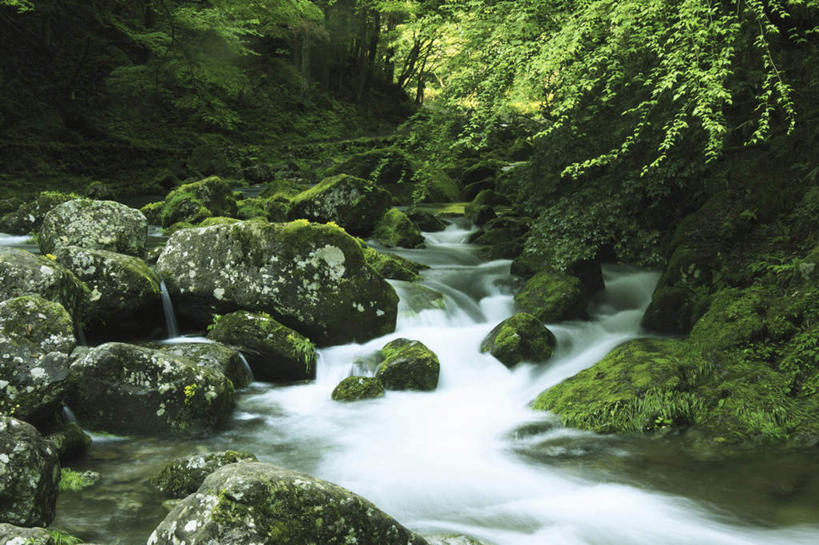 无人,横图,室外,白天,正面,旅游,度假,石头,美景,瀑布,水,植物,日本,亚洲,飞溅,溅,石子,液体,景观,水滴,娱乐,水珠,树,树木,绿色,自然,享受,休闲,景色,放松,生长,成长,喷洒,自然风光,东亚,本州,三重县,本州岛,日本国,近畿地方,近畿,三重,跌水,石块,岩石,彩图