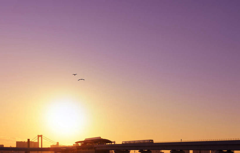 无人,横图,室外,白天,仰视,旅游,度假,美景,日落,大桥,立交桥,桥梁,鸟,东京,日本,亚洲,飞翔,飞行,鸟类,景观,晚霞,霞光,高架,斜拉桥,桥,江东区,娱乐,蓝色,蓝天,天空,自然,黄昏,天,享受,休闲,景色,彩霞,放松,自然风光,东亚,本州,关东地方,本州岛,日本国,东京都,夕阳,彩图,低角度拍摄