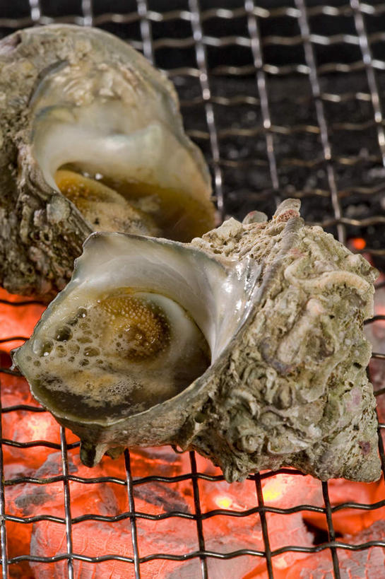 海鲜,无人,竖图,俯视,室内,白天,烧烤,火,一排,许多,整齐,方格,火焰,烤架,烤肉,燃烧,水产,海洋生物,排列,三个,红色,铁架,明亮,队列,水生动物,海产品,水生物,螺蛳,海底动物,田螺,蜗篱,师螺,蜗蠃,方田螺,彩图,高角度拍摄