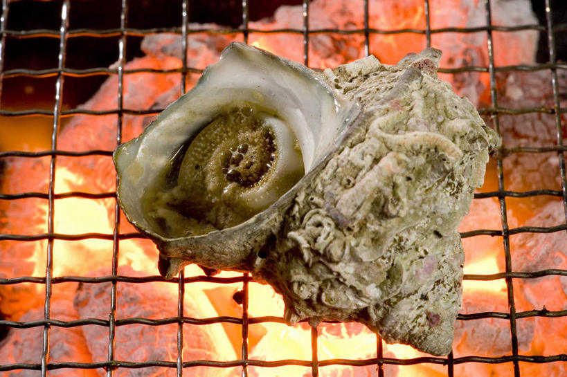 海鲜,无人,横图,俯视,室内,白天,烧烤,火,一排,许多,整齐,方格,火焰,烤架,烤肉,燃烧,水产,海洋生物,排列,三个,红色,铁架,明亮,队列,水生动物,海产品,水生物,螺蛳,海底动物,田螺,蜗篱,师螺,蜗蠃,方田螺,彩图,高角度拍摄