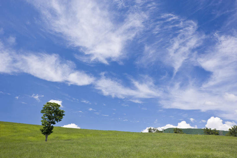无人,横图,室外,白天,仰视,旅游,度假,草地,草坪,美景,植物,日本,亚洲,地平线,景观,云,云朵,辽阔,地面,云彩,娱乐,草,蓝色,绿色,白云,蓝天,天空,自然,天,享受,休闲,景色,放松,晴朗,一望无际,自然风光,延伸,东亚,本州,本州岛,日本国,天地相交,青森,青森县,东北地方,十和田市,十和田,晴空,彩图,低角度拍摄