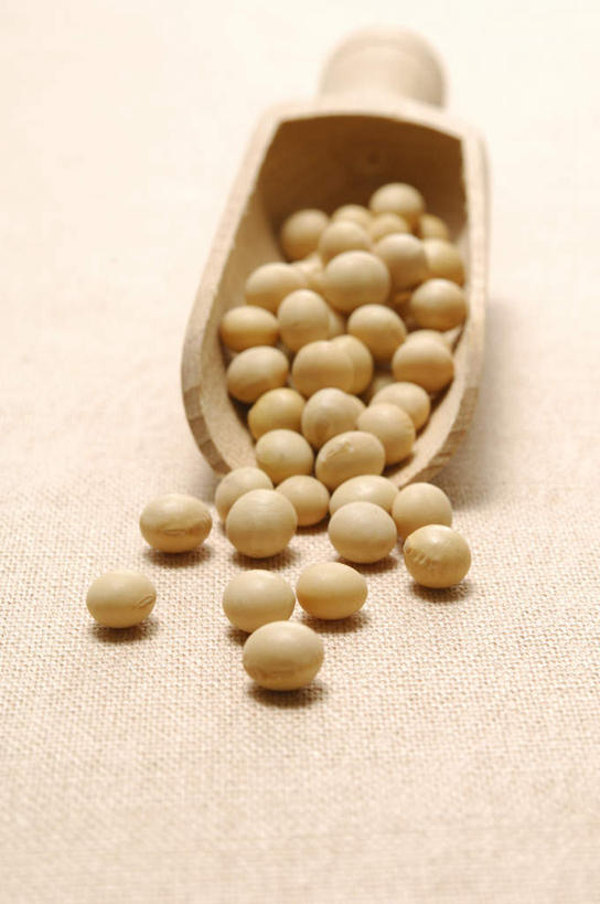 无人,竖图,俯视,室内,特写,白天,植物,餐桌,桌面,桌子,豆,大豆,静物,一堆,许多,堆叠,堆积,豆类,豆子,毛豆,黄色,摄影,影棚,餐台,堆,豆科,枝豆,黄豆,彩图,高角度拍摄,影棚拍摄,拍摄