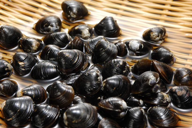 无人,横图,俯视,室内,特写,白天,餐桌,桌面,桌子,一堆,许多,堆叠,堆积,篮子,蛤蜊,一个,蛤,摄影,藤编,影棚,单个,餐台,堆,蛤仔,彩图,高角度拍摄,影棚拍摄,拍摄