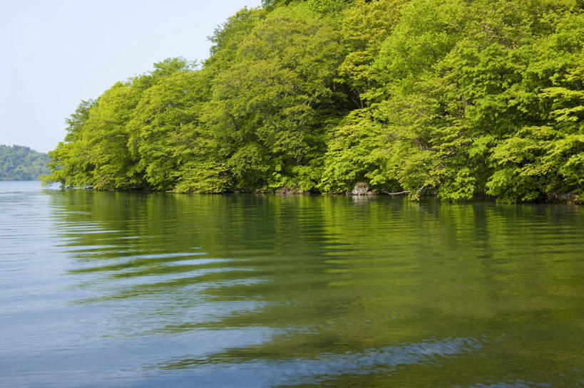 无人,公园,横图,室外,白天,正面,旅游,度假,湖,湖泊,美景,树林,水,植物,秋田县,日本,亚洲,湖面,景观,水流,水面,娱乐,树,树木,蓝色,绿色,蓝天,天空,自然,湖水,天,享受,休闲,景色,放松,生长,晴朗,成长,自然风光,东亚,本州,万里无云,本州岛,日本国,秋田,岩手,岩手县,青森,青森县,东北地方,十和田湖,十和田八幡平国立公园,晴空,晴空万里,彩图