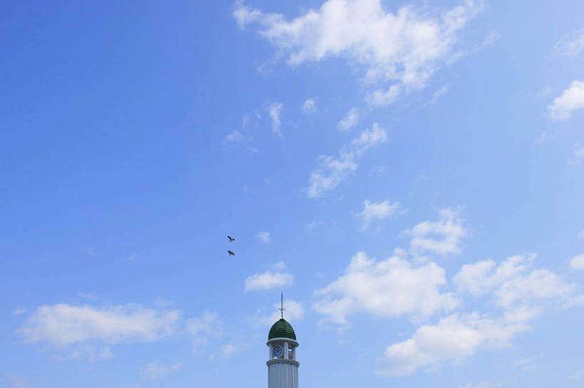 无人,横图,室外,白天,仰视,旅游,度假,美景,道路,鸟,野生动物,鹰,神奈川,日本,亚洲,飞翔,伸展,张开,展翅,阴影,飞行,光线,信息,翅膀,鸟类,影子,景观,云,云朵,灯塔,交通,横滨,横滨市,神奈川县,翱翔,云彩,方向,娱乐,飞,蓝色,白云,蓝天,天空,阳光,自然,动物,天,两只,享受,休闲,景色,放松,晴朗,引导,指引,自然风光,凶猛,东亚,张开翅膀,鸢,本州,首府,关东地方,本州岛,日本国,航标,展开翅膀,黑鸢,残暴,凶残,晴空,老鹰,彩图,低角度拍摄,全身,导航