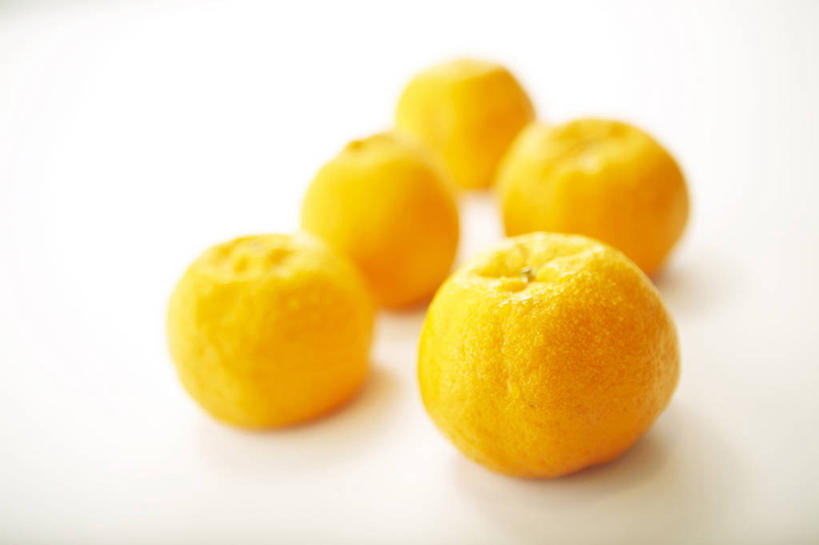 无人,横图,俯视,室内,特写,白天,白色背景,餐桌,桌子,柑橘,水果,五个,许多,阴影,朦胧,模糊,新鲜,反射,影子,生食,食品,果实,食物,黄色,摄影,有机食品,绿色食品,影棚,餐台,柑桔,橘子,桔子,彩图,高角度拍摄,影棚拍摄,拍摄,大红蜜橘,大红袍,红橘,黄橘,宽皮橘,蜜橘