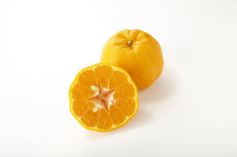 无人,横图,俯视,室内,特写,白天,白色背景,餐桌,桌子,柑橘,水果,切开,阴影,新鲜,反射,影子,生食,食品,果实,食物,两个,黄色,切,摄影,有机食品,绿色食品,影棚,餐台,剖面,切面,柑桔,橘子,桔子,彩图,高角度拍摄,影棚拍摄,拍摄,大红蜜橘,大红袍,红橘,黄橘,宽皮橘,蜜橘