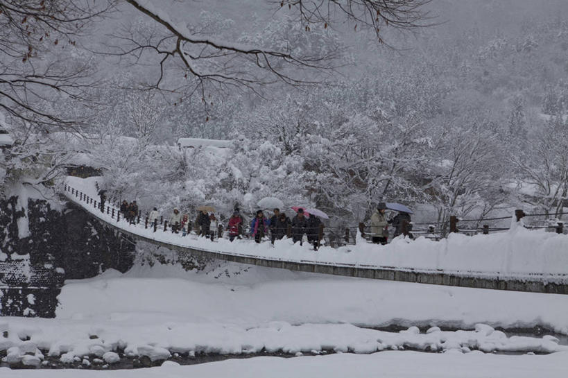 东方人,走,横图,室外,白天,正面,旅游,度假,美景,树林,雪,植物,大雪,日本,亚洲,行人,游客,游人,服装,木板,积雪,景观,雪景,冬季,冬天,桥,木桥,许多人,休闲装,黄种人,娱乐,路人,旅客,栈桥,树,树木,衣服,绿色,自然,一群人,享受,休闲,休闲服,景色,放松,寒冷,服饰,生长,成长,人行桥,木板桥,自然风光,东亚,本州,本州岛,日本国,中部地方,岐阜,岐阜县,严寒,过客,男人,男性,年轻男性,年轻女性,女人,女性,亚洲人,步行,散步,走路,彩图,全身