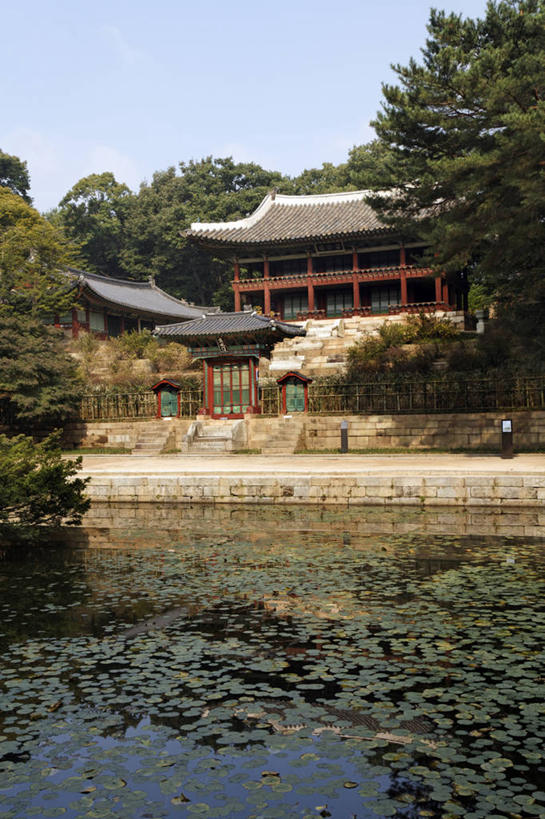 无人,竖图,室外,白天,正面,旅游,度假,名胜古迹,树林,植物,标志建筑,地标,建筑,叶子,首尔,汉城,韩国,亚洲,阴影,遗迹,光线,瓦片,影子,柱子,屋顶,池塘,水池,荷叶,首都,顶棚,瓦,古迹,文物,娱乐,建设,古建筑,树,树木,蓝色,绿色,蓝天,天空,阳光,自然,天,享受,休闲,旅游胜地,放松,建造,生长,晴朗,成长,古文明,东亚,屋瓦,万里无云,莲叶,大韩民国,首尔市,首尔特别市,特别市,钟路区,叶,叶片,晴空,晴空万里,彩图,昌庆宫