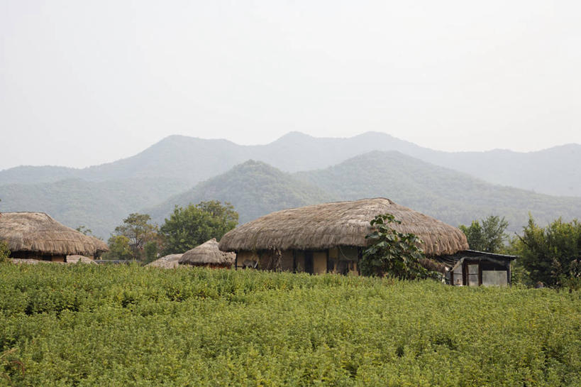 无人,农田,横图,室外,白天,正面,旅游,度假,庄稼,农作物,美景,山,山脉,朝鲜,韩国,亚洲,阴影,光线,影子,草屋,景观,山峰,山峦,娱乐,蓝色,蓝天,天空,阳光,自然,群山,天,享受,休闲,景色,放松,晴朗,自然风光,东亚,万里无云,大韩民国,朝鲜半岛,朝鲜民主主义人民共和国,韩半岛,晴空,晴空万里,彩图,耕地,庄稼田,茅舍,茅屋