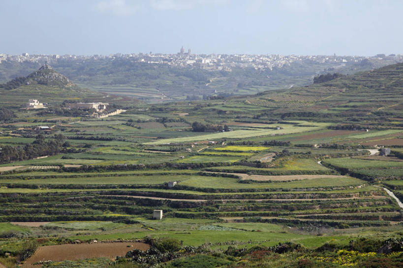 无人,农田,横图,俯视,室外,白天,旅游,度假,庄稼,梯田,农作物,美景,山,山脉,欧洲,马耳他,阴影,曲折,弯曲,光线,影子,景观,山峰,山峦,娱乐,蓝色,蓝天,天空,阳光,自然,群山,天,享受,休闲,景色,放松,蜿蜒,晴朗,自然风光,万里无云,马耳他共和国,戈佐岛,晴空,晴空万里,彩图,高角度拍摄,耕地,庄稼田