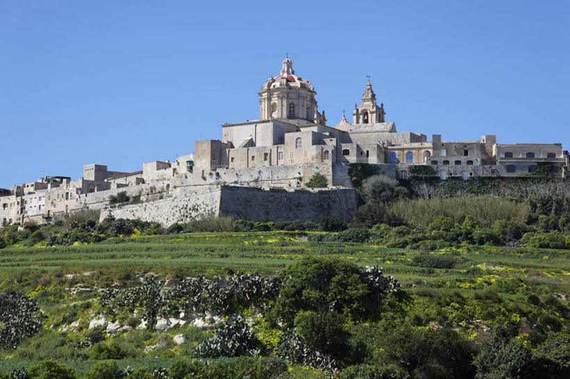 无人,农田,横图,室外,白天,正面,旅游,度假,庄稼,农作物,草地,草坪,名胜古迹,树林,植物,标志建筑,地标,建筑,欧洲,马耳他,阴影,遗迹,光线,影子,堡垒,城堡,古迹,文物,娱乐,建设,古建筑,草,树,树木,蓝色,绿色,蓝天,天空,阳光,自然,天,享受,休闲,旅游胜地,放松,生长,晴朗,成长,要塞,古文明,万里无云,马耳他共和国,设防,姆迪纳,晴空,晴空万里,彩图,耕地,庄稼田