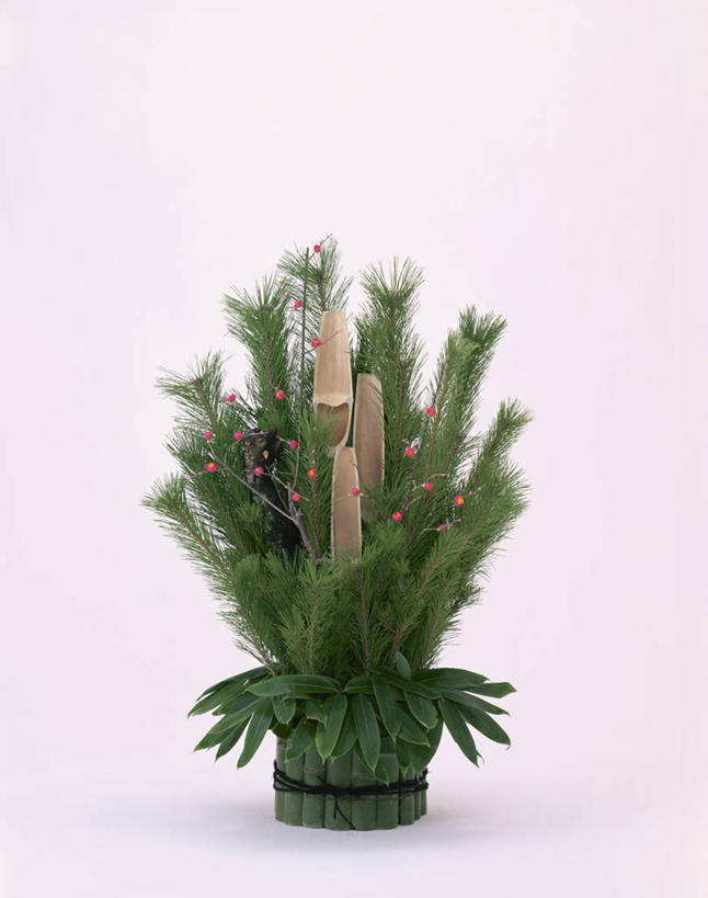 无人,竖图,室内,特写,白天,白色背景,正面,装饰,绿色,摄影,影棚,华丽,修饰,点缀,门松,衬托,美观,雅致,雅观,长寿,彩图,影棚拍摄,拍摄