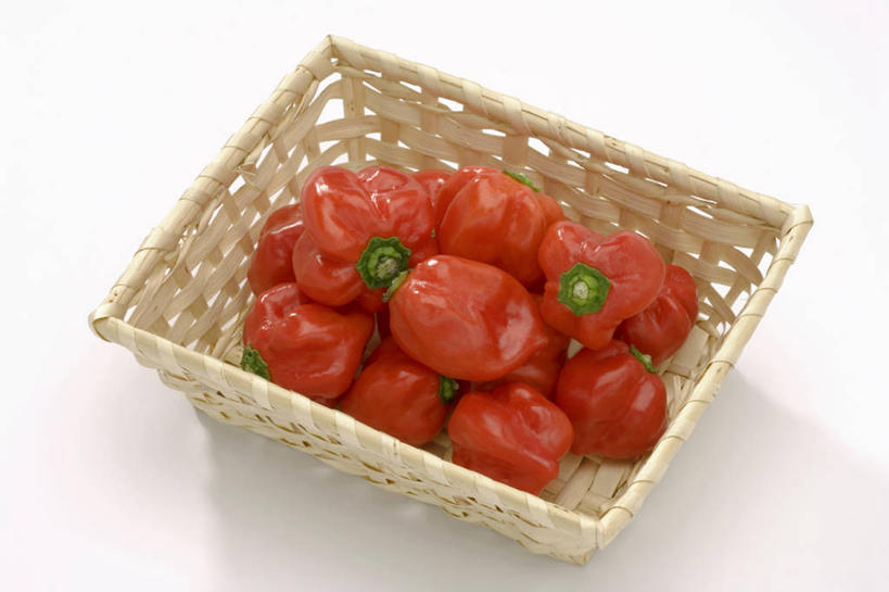 无人,交叉,横图,俯视,室内,特写,白天,白色背景,竹子,辣椒,蔬菜,一堆,许多,阴影,堆叠,堆积,竹制,新鲜,编织,反射,篮子,影子,食品,很多,食物,一个,红色,竹篮,摄影,有机食品,绿色食品,影棚,单个,竹条,堆,交织,竹制品,辣角,大椒,辣虎,广椒,穿插,墨西哥辣椒,哈雷派尼奥,哈雷派尼奥辣椒,辣子,海椒,番椒,彩图,高角度拍摄,影棚拍摄,拍摄