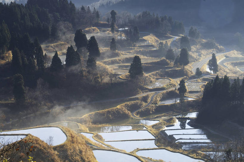 无人,农田,横图,俯视,室外,白天,旅游,度假,庄稼,梯田,农作物,美景,森林,山,山脉,树林,植物,日本,亚洲,阴影,曲折,弯曲,光线,影子,景观,山峰,山峦,娱乐,树,树木,绿色,阳光,自然,群山,享受,休闲,景色,放松,蜿蜒,生长,成长,自然风光,东亚,本州,本州岛,日本国,中部地方,新潟,新潟县,彩图,高角度拍摄,耕地,庄稼田,十日町市