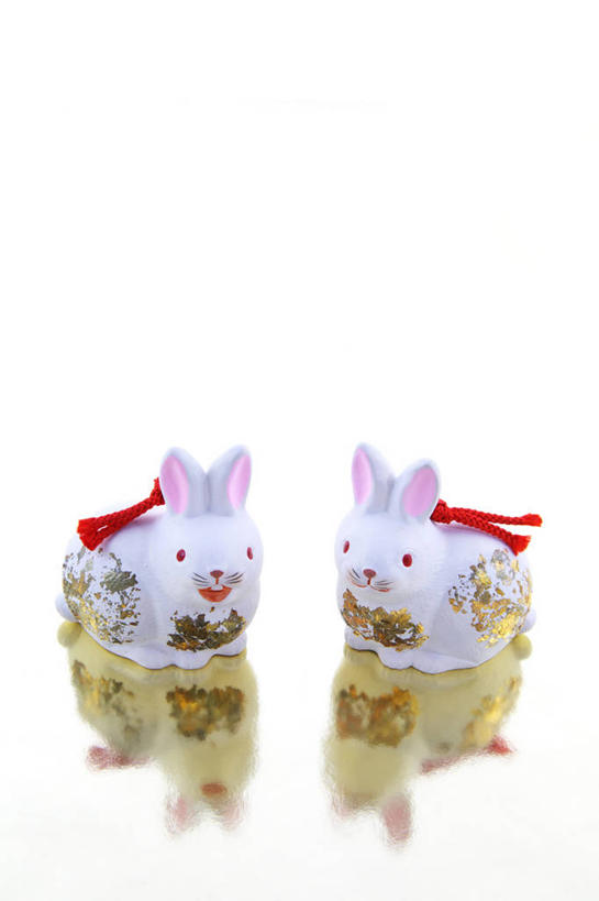 无人,站,竖图,俯视,室内,特写,白天,白色背景,哺乳动物,静物,雕塑,阴影,艺术,装饰,反射,兔子,雕刻,雕像,影子,注视,文化,传统,十二生肖,动物,工艺品,观察,看,站着,两只,属相,摄影,生肖,影棚,观看,纪念,兔,美术,察看,关注,主题,陈列,功能,美学,兽历,陶瓷雕塑,站立,彩图,高角度拍摄,全身,影棚拍摄,拍摄