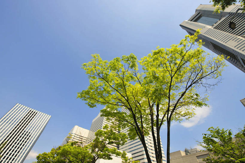 无人,高楼大厦,横图,室外,白天,仰视,度假,美景,植物,城市风光,标志建筑,城市,大厦,地标,建筑,摩天大楼,神奈川,日本,亚洲,阴影,光线,影子,景观,云,云朵,建筑群,横滨,横滨市,神奈川县,云彩,娱乐,建设,树,树木,蓝色,绿色,白云,蓝天,天空,阳光,自然,天,享受,休闲,景色,放松,生长,晴朗,成长,东亚,本州,首府,关东地方,本州岛,日本国,港未来21区,晴空,彩图,低角度拍摄,大楼,高层建筑,高楼,摩天楼