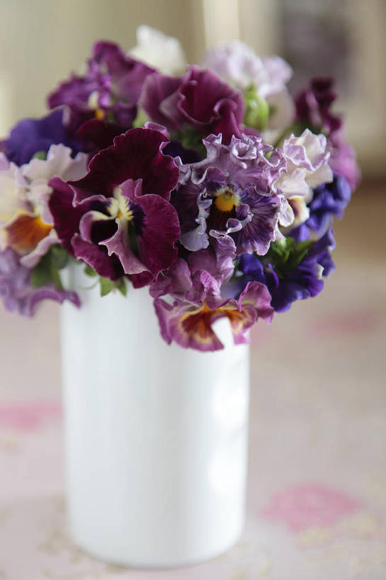 无人,竖图,室内,特写,白天,正面,快乐,智慧,餐桌,桌子,花瓶,阴影,朦胧,模糊,艺术,装饰,盛开,反射,布料,影子,陶瓷,三色堇,陶瓷制品,花蕾,布纹,文化,桌布,花,花瓣,花朵,鲜花,一个,插花,餐巾,瓶子,台布,蝴蝶花,花苞,花蕊,沉思,单个,餐台,华丽,修饰,插花艺术,点缀,创造,创作,想象,衬托,美观,雅致,雅观,三色堇菜,人面花,猫脸花,阳蝶花,鬼脸花,猫儿脸,思念,餐桌布,彩图