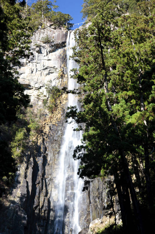 无人,竖图,室外,白天,仰视,旅游,度假,石头,美景,瀑布,森林,山,山脉,树林,水,植物,松树,日本,亚洲,阴影,飞溅,溅,光线,石子,液体,影子,景观,山顶,山峰,水滴,山峦,娱乐,水珠,树,树木,蓝色,绿色,蓝天,天空,阳光,自然,群山,天,享受,休闲,景色,放松,生长,晴朗,成长,喷洒,自然风光,坚定,东亚,沉积岩,本州,万里无云,本州岛,日本国,近畿地方,近畿,长寿,和歌山,和歌山县,贞洁,颠峰,极峰,水成岩,跌水,石块,岩石,晴空,晴空万里,彩图,低角度拍摄,东牟娄郡,那智瀑布,那智胜浦町