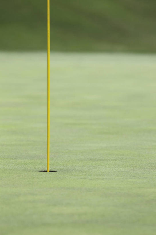 无人,竖图,室外,白天,正面,旅游,度假,草地,草坪,美景,植物,日本,亚洲,朦胧,模糊,球洞,景观,球场,娱乐,高尔夫球场,草,绿色,自然,享受,休闲,景色,放松,高尔夫球洞,自然风光,绿茵场,东亚,本州,本州岛,日本国,中部地方,新潟,新潟县,彩图