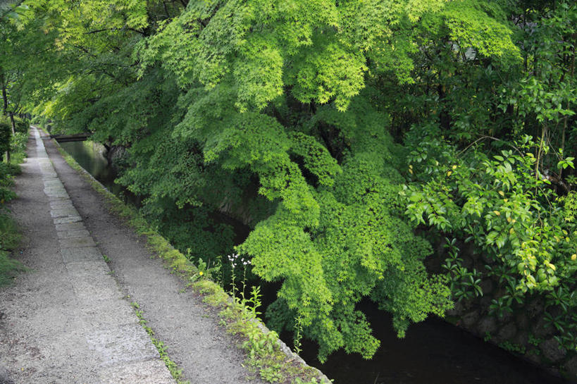 无人,横图,室外,白天,正面,旅游,度假,河流,名胜古迹,树林,水,植物,标志建筑,道路,地标,建筑,路,京都,日本,亚洲,遗迹,河水,水流,小路,交通,古迹,文物,娱乐,建设,古建筑,树,树木,绿色,自然,享受,休闲,旅游胜地,放松,京都府,生长,成长,古文明,东亚,本州,本州岛,日本国,近畿地方,近畿,慈照寺,银阁寺,彩图